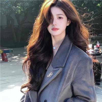公仆2 海报