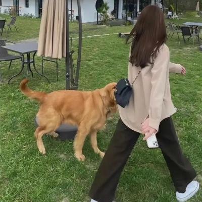 预知死亡纪事 海报